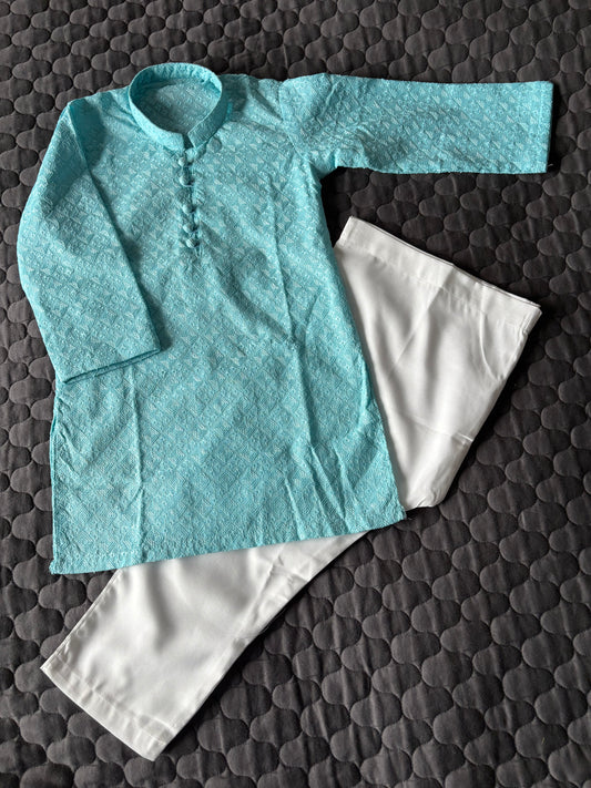 Cotton Light Blue Embroidered