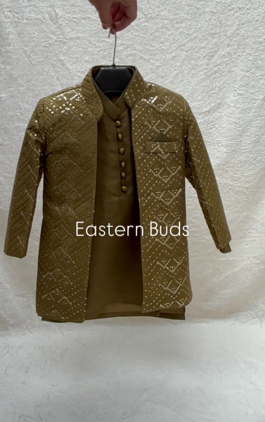 Mehandi Embroidered Sherwani Suit